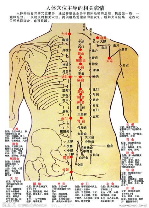 穴位圖